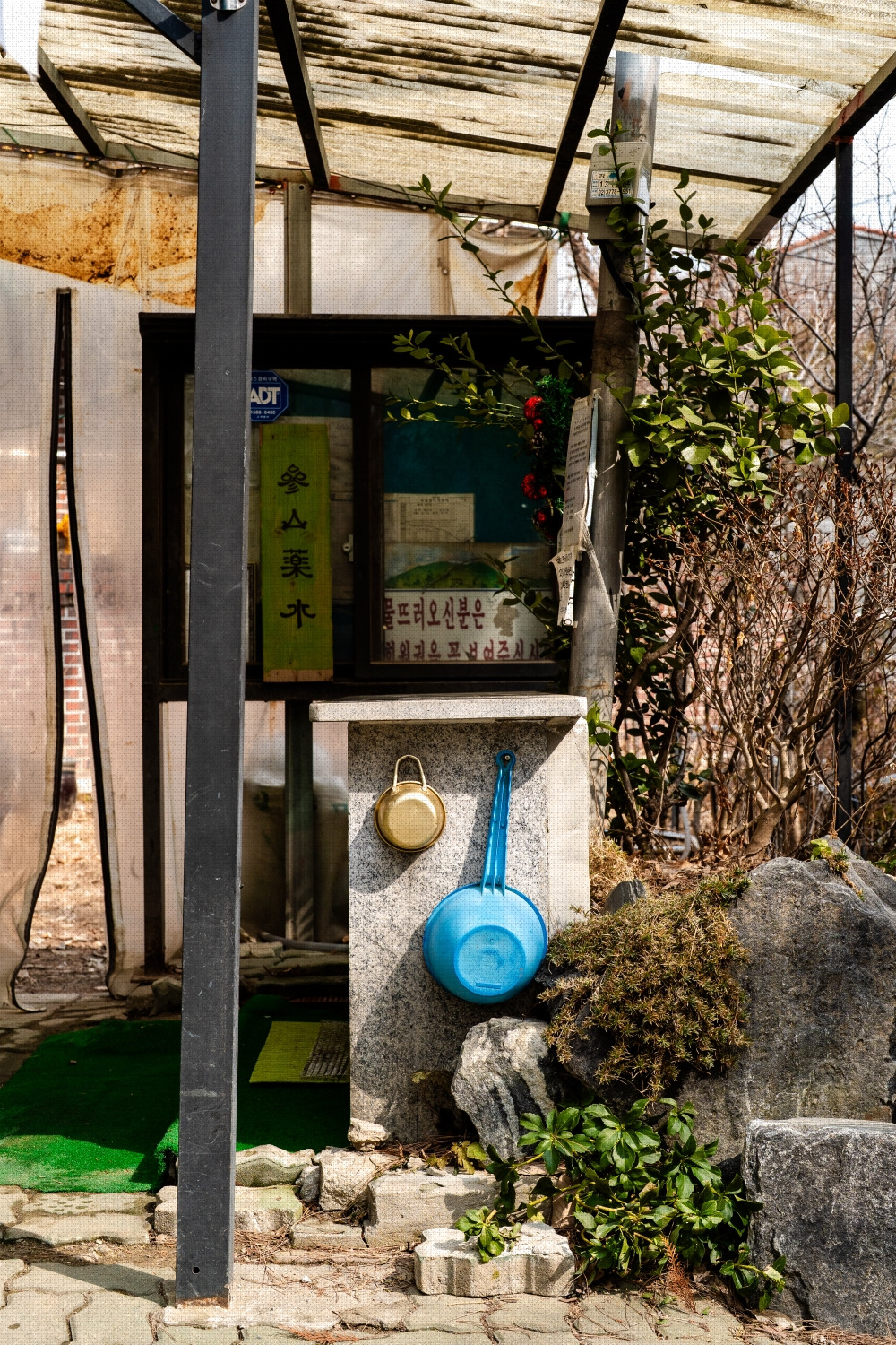 #winter #25 A7C02745.jpg