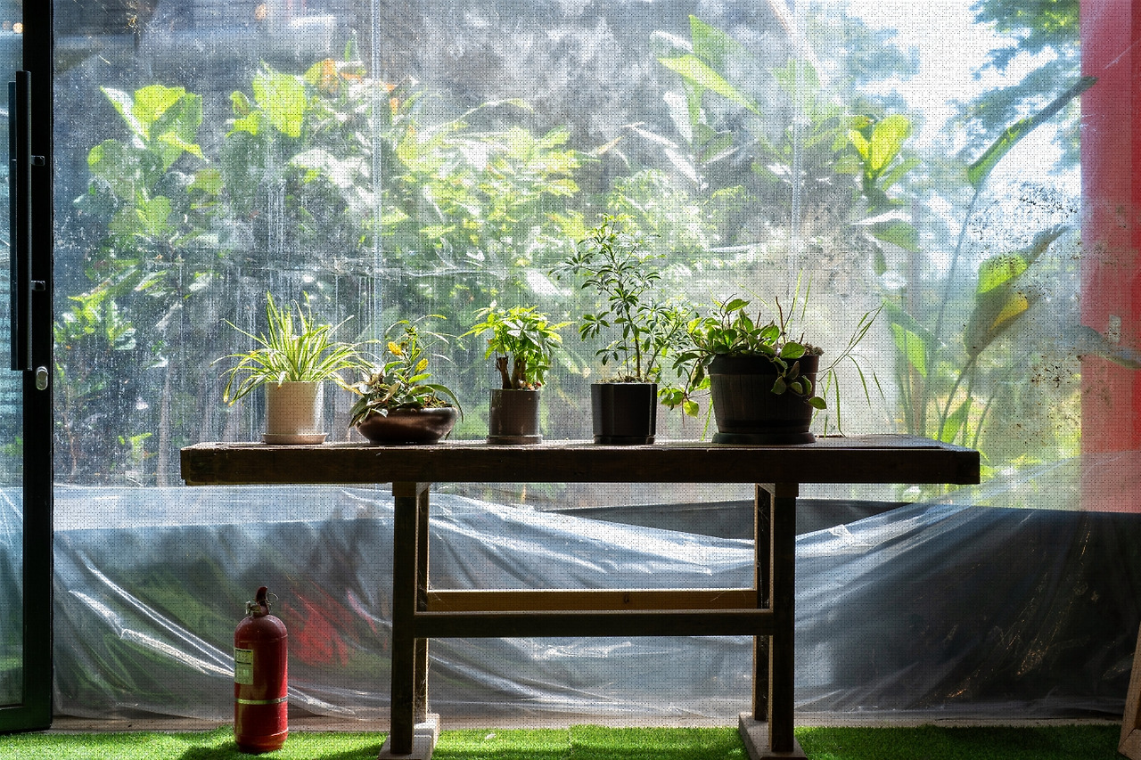 #summer #20 DSC05879.jpg