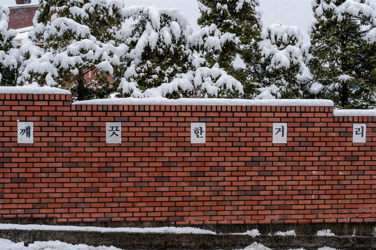 #winter #2 DSC07704.jpg