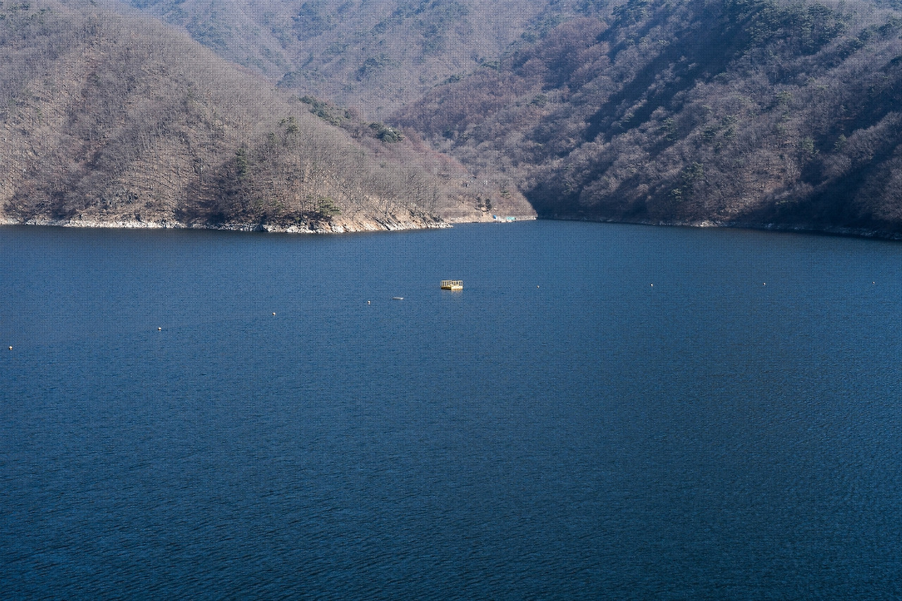 #winter #8 DSC07424.jpg