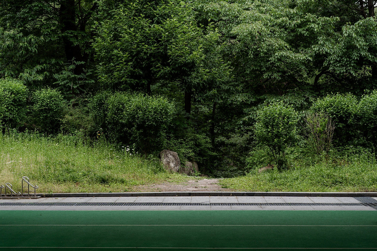 #summer #17 A7C03449.jpg