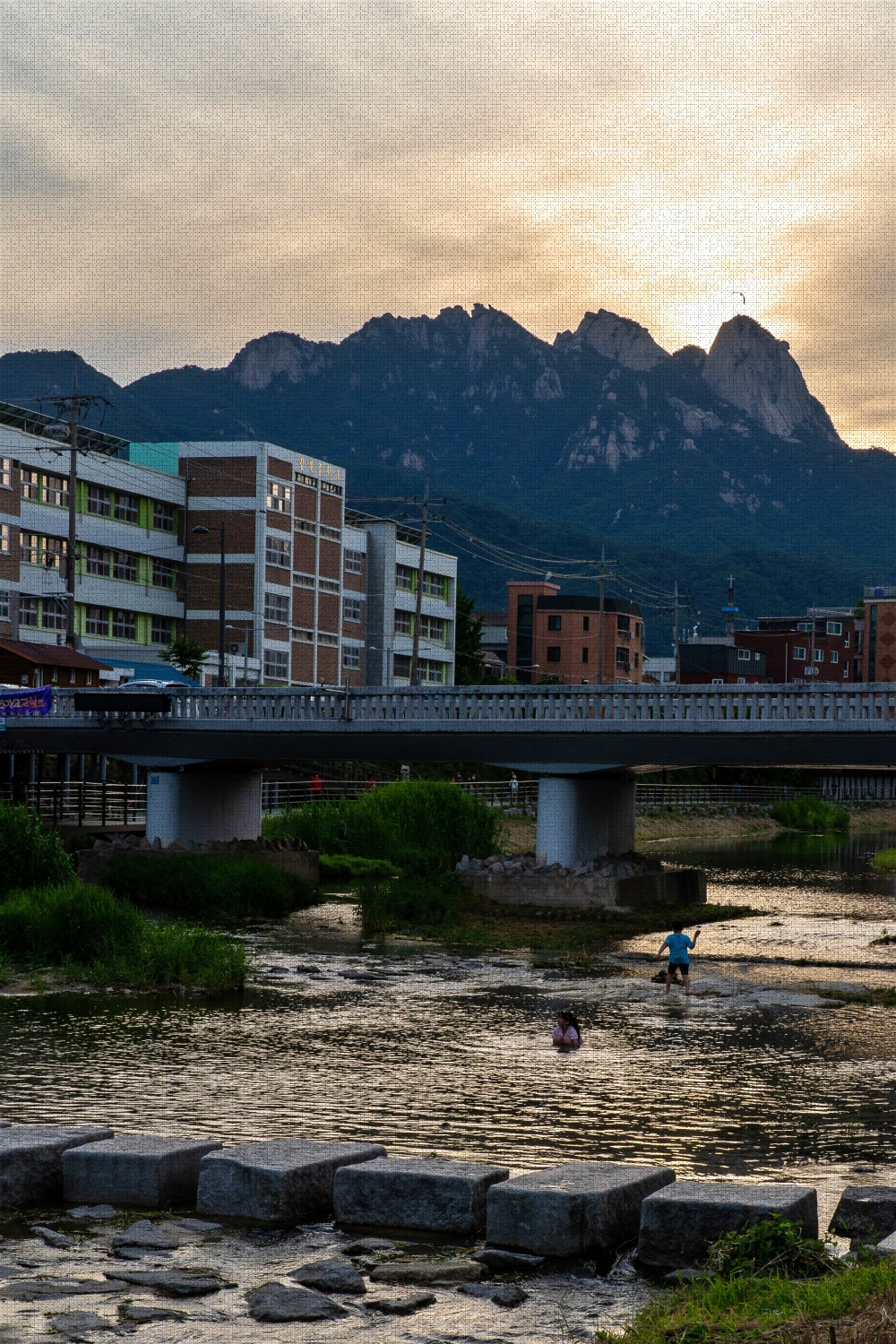 #summer #25 DSC04892.jpg