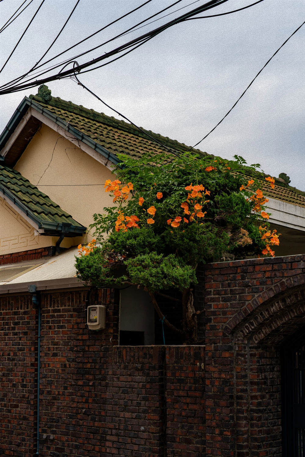 #summer #10 A7C03691.jpg