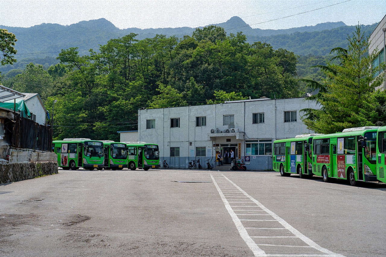 #summer #16 A7C03548.jpg