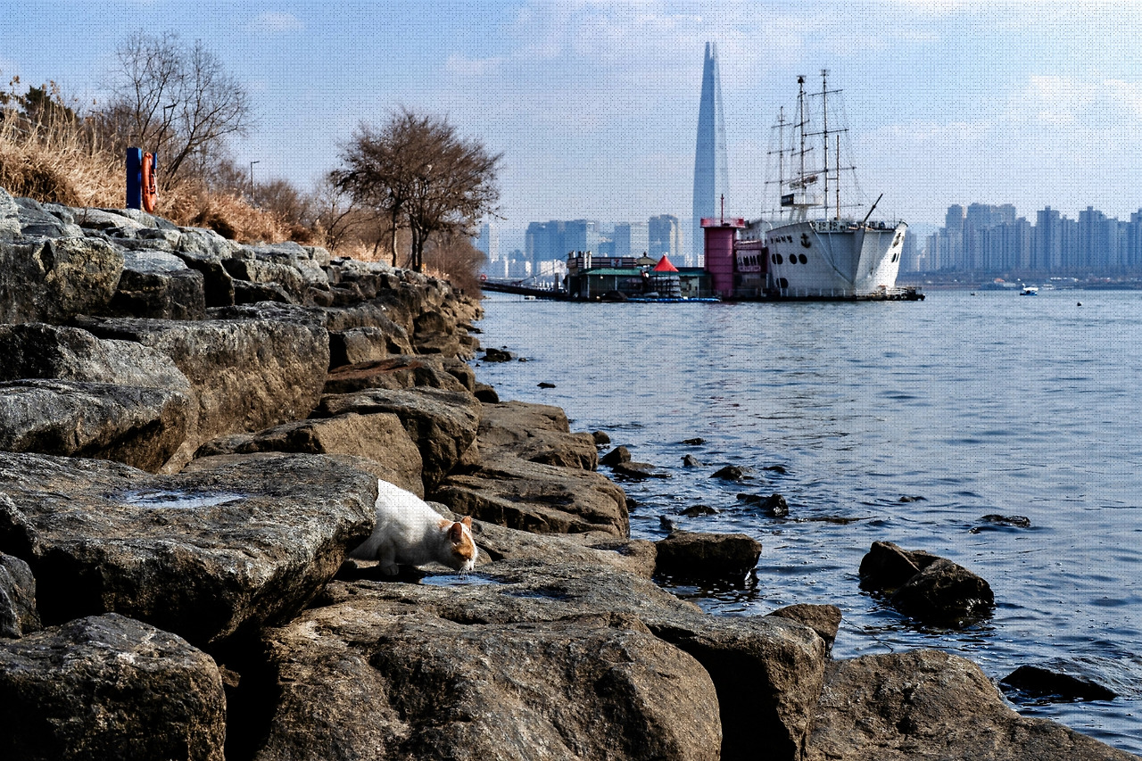 #winter #18 DSC07533.jpg