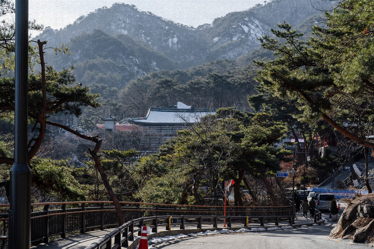 #winter #5 DSC07343.jpg