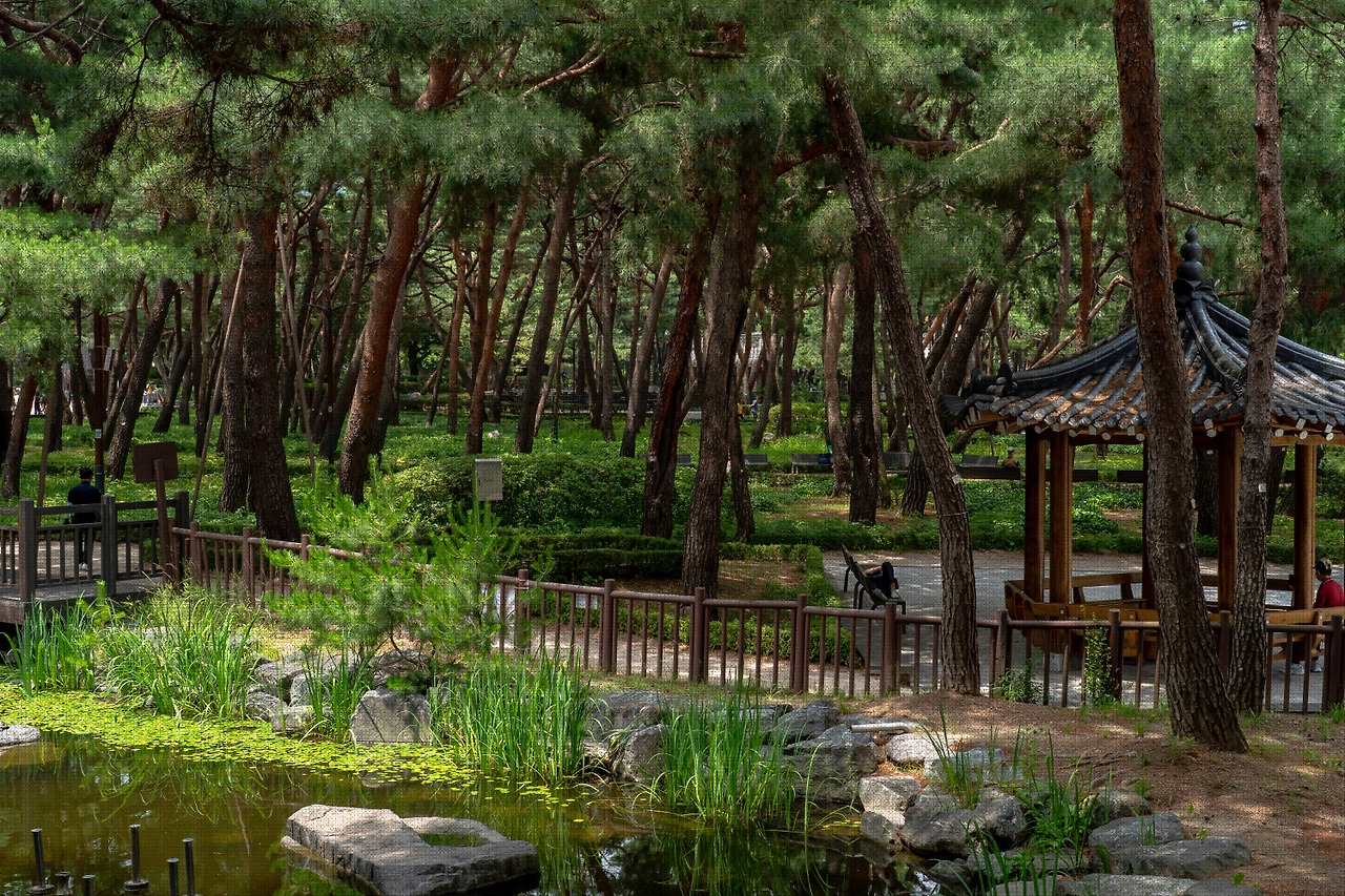 #summer #19 DSC05138.jpg