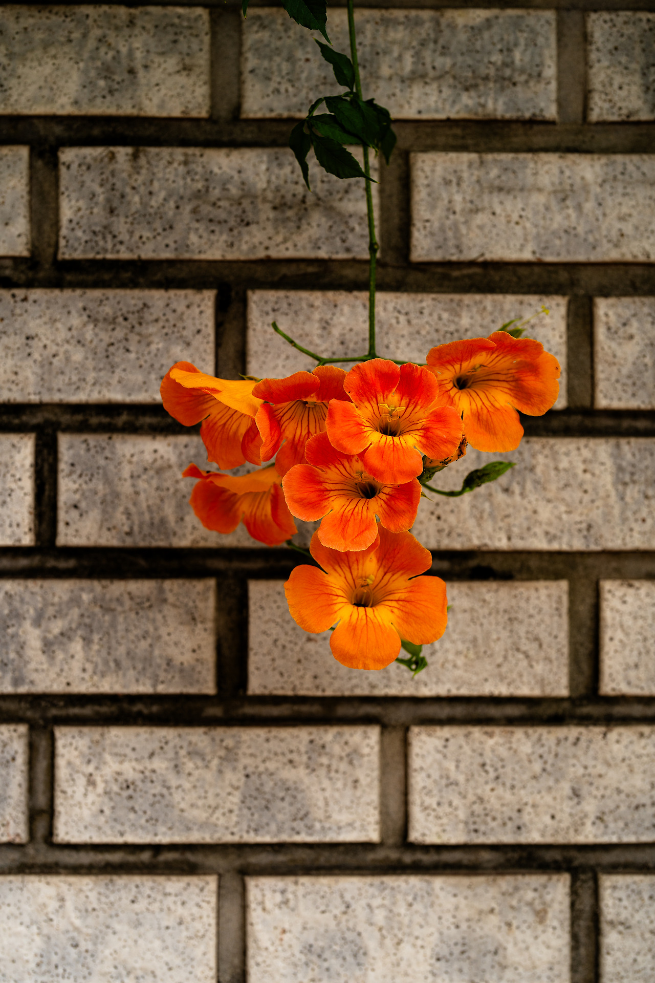 #summer #10 A7C03685.jpg