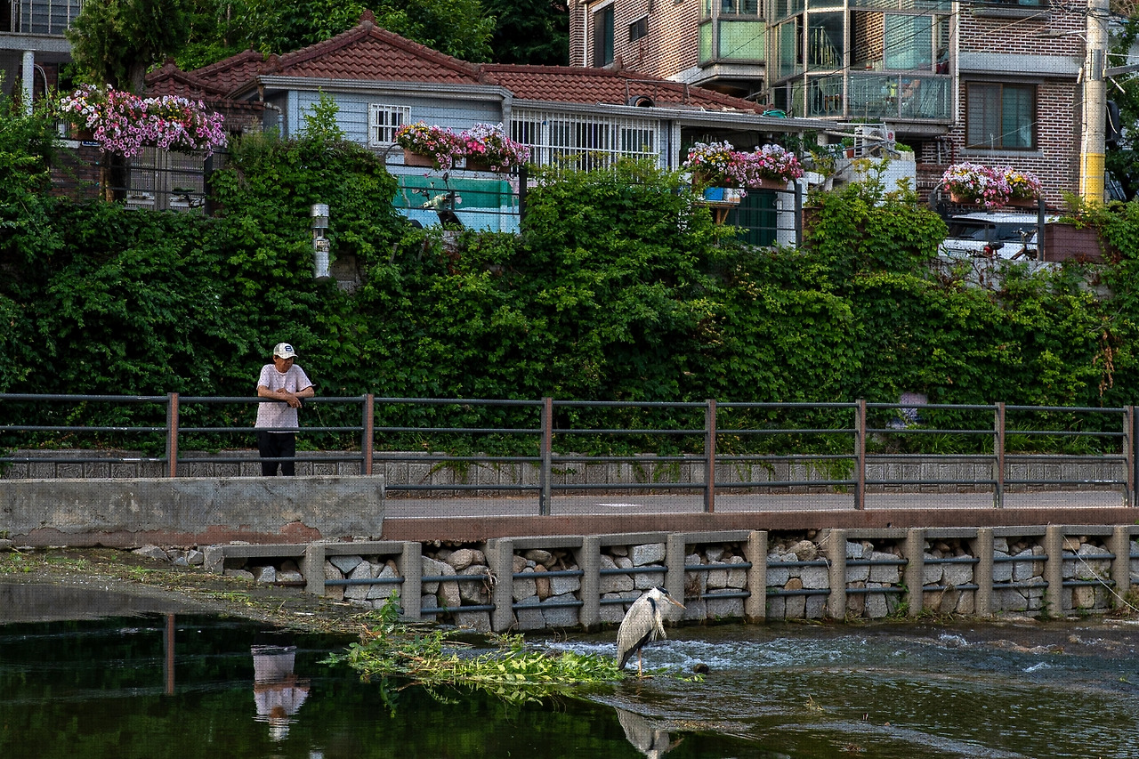 #summer #24 DSC04868.jpg