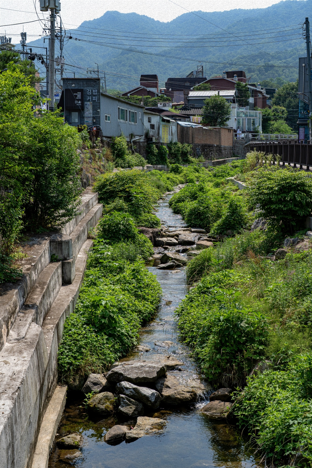 #summer #14 A7C03540.jpg