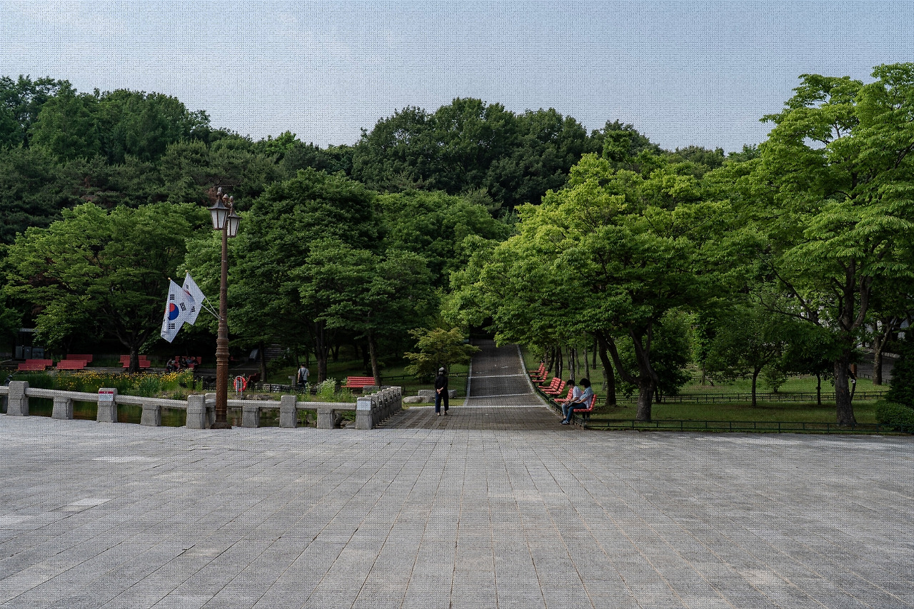 #summer #13 A7C03379.jpg