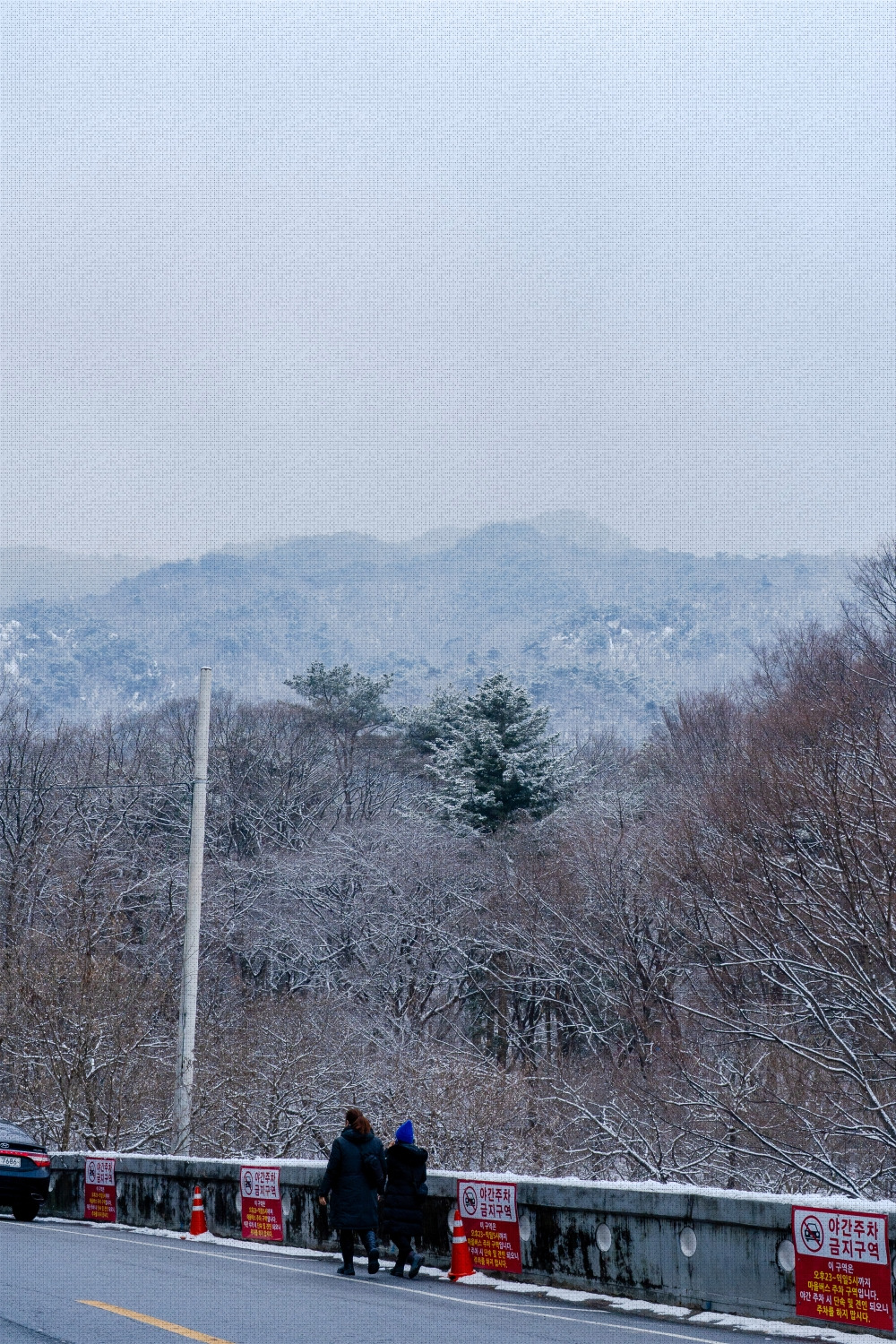 #winter #11 DSC07271.jpg