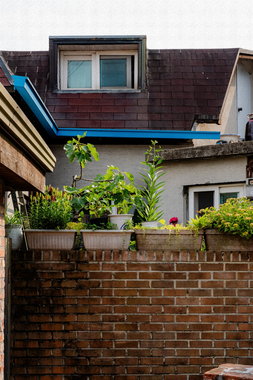 #summer #10 A7C03407.jpg