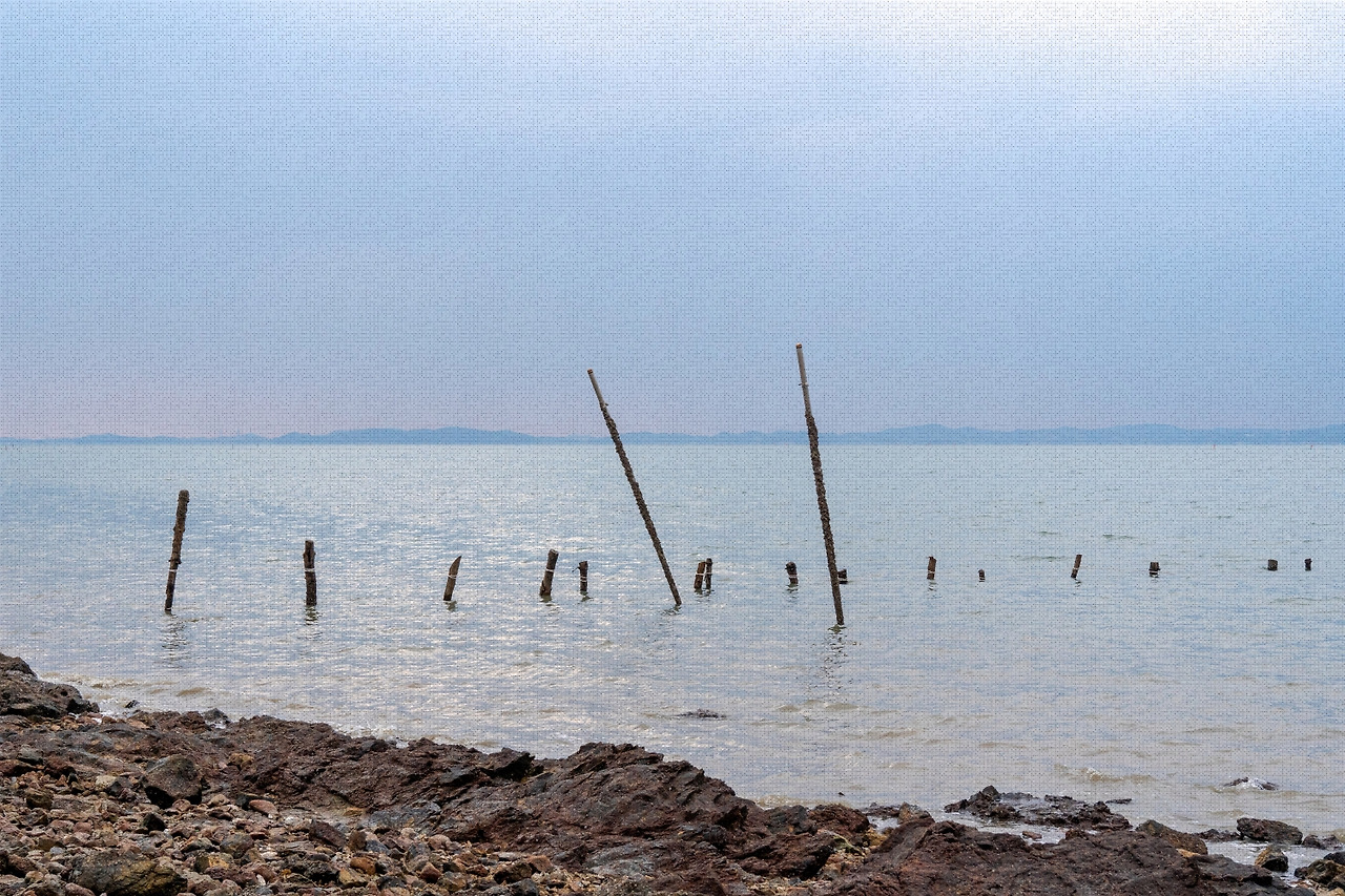 #winter #12 A7C01453.jpg