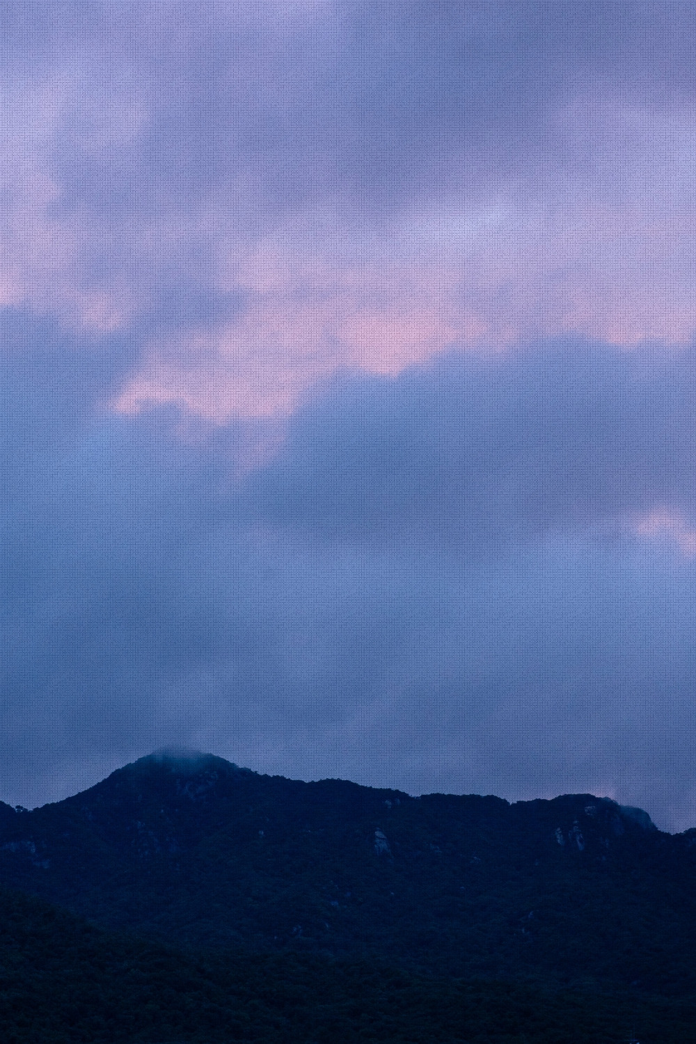 #summer #6 DSC05708.jpg