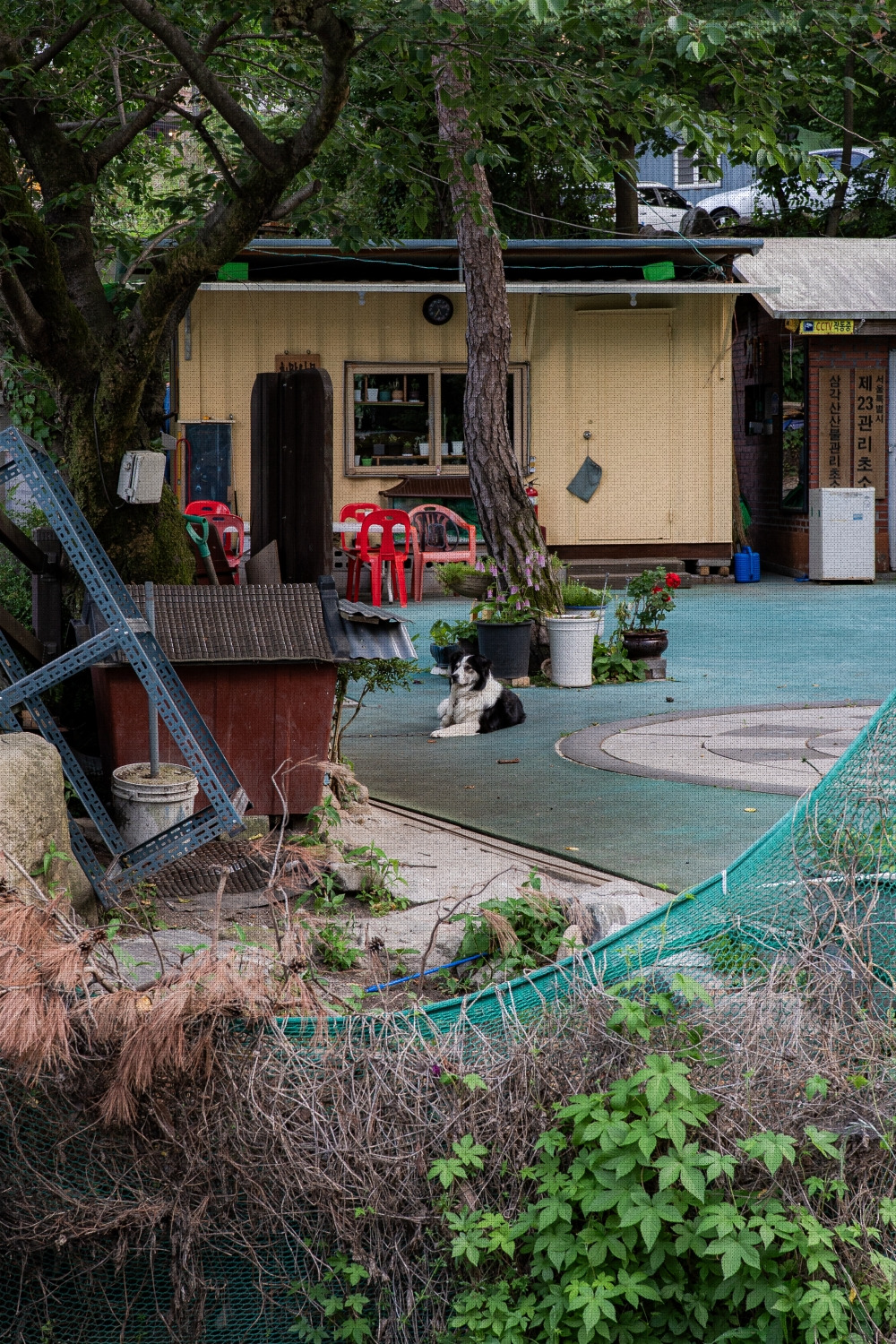 #summer #11 A7C03488.jpg