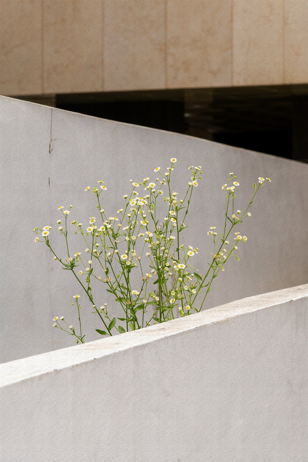 #summer #10 A7C03689.jpg