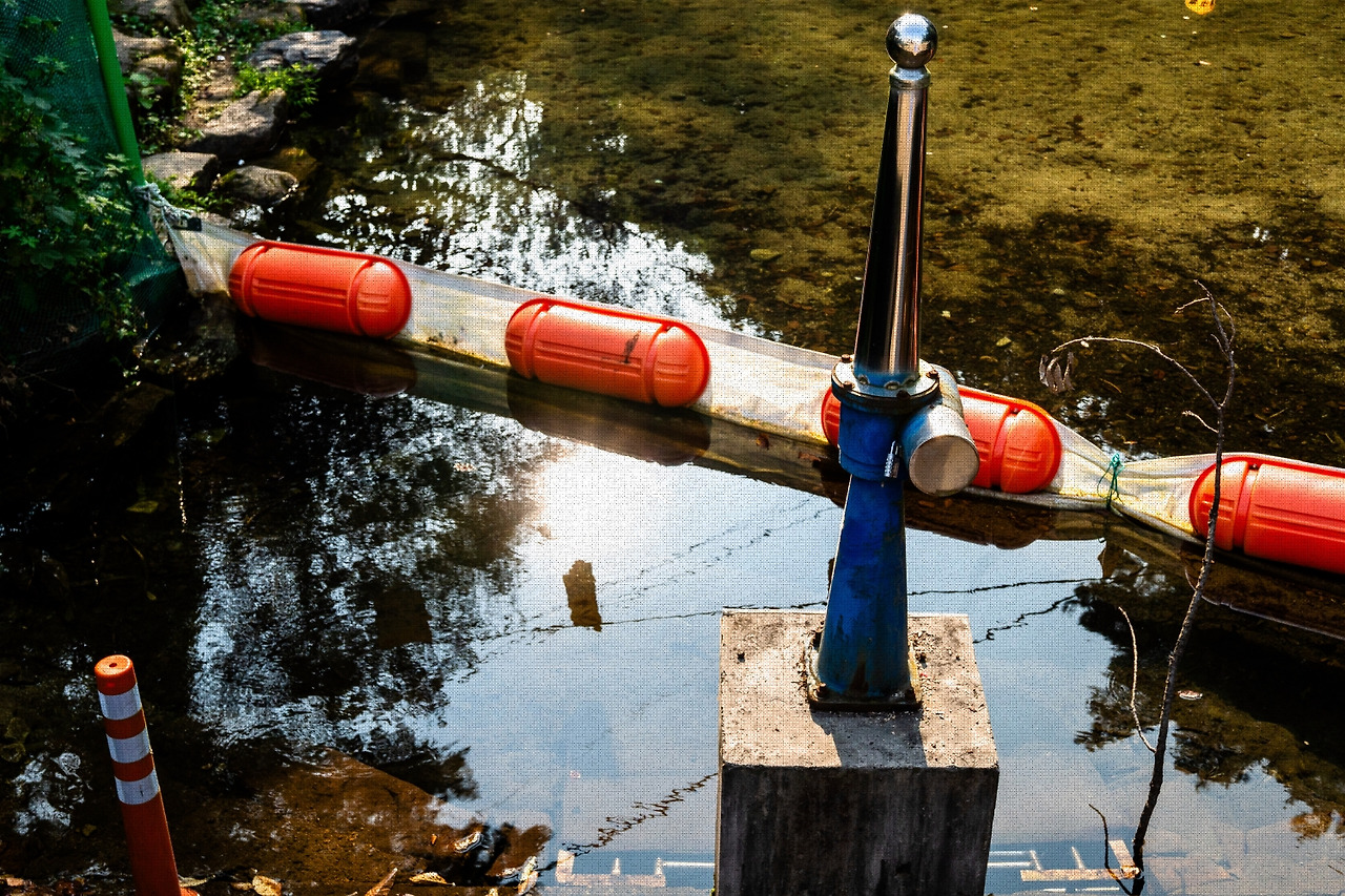 #summer #7 A7C00930.jpg