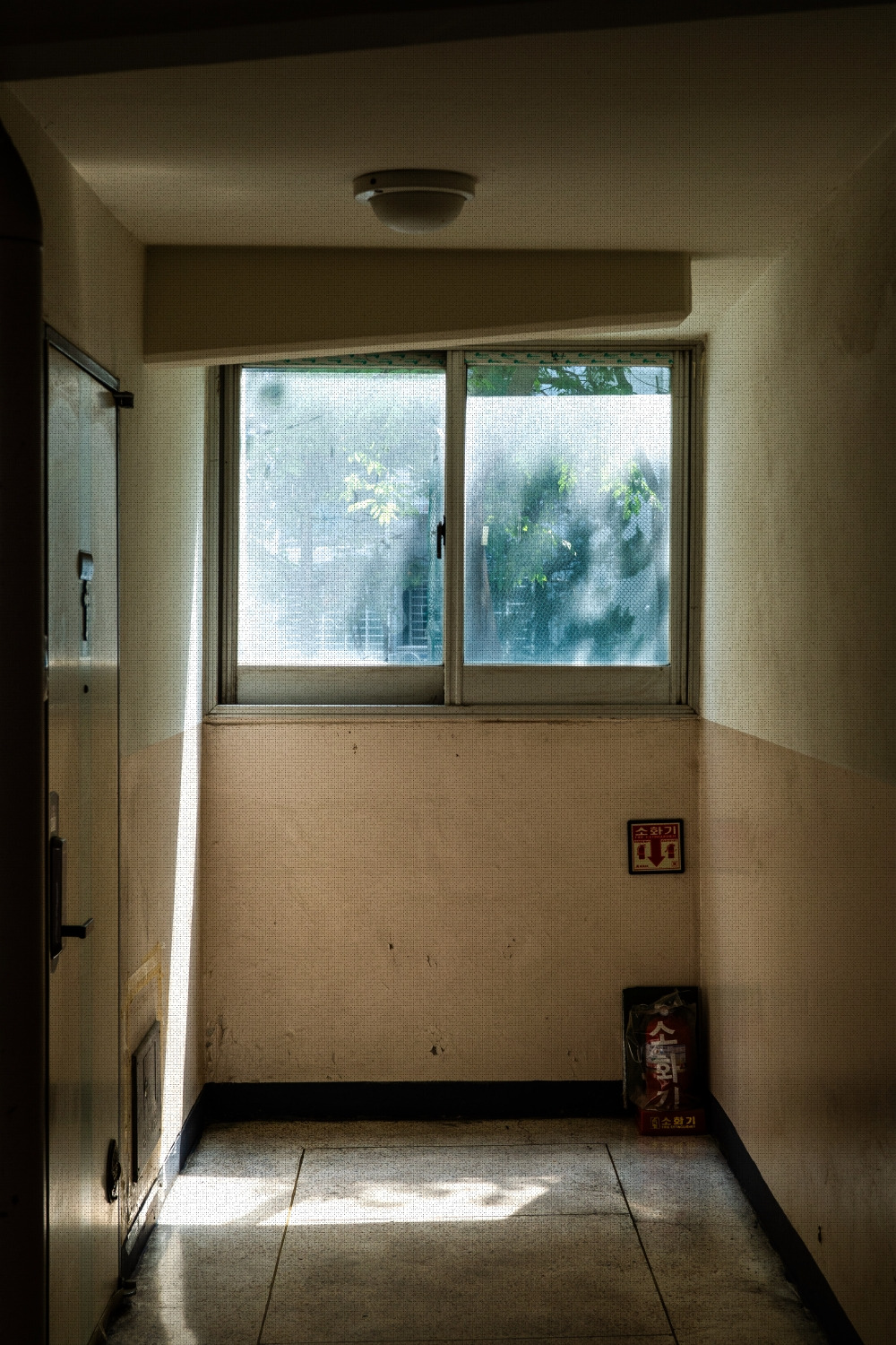 #spring #23 A7C03202.jpg