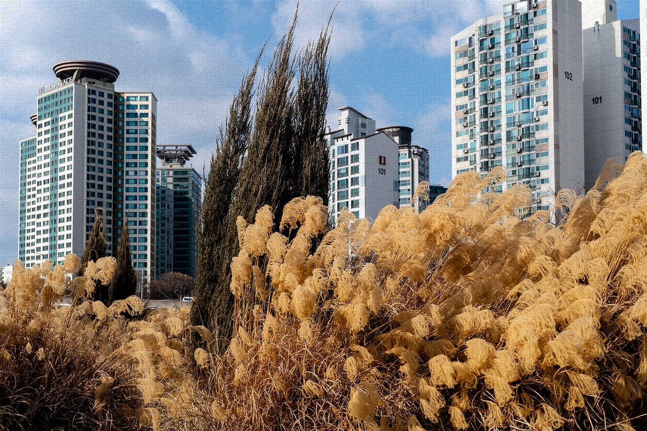 #winter #17 DSC07621.jpg