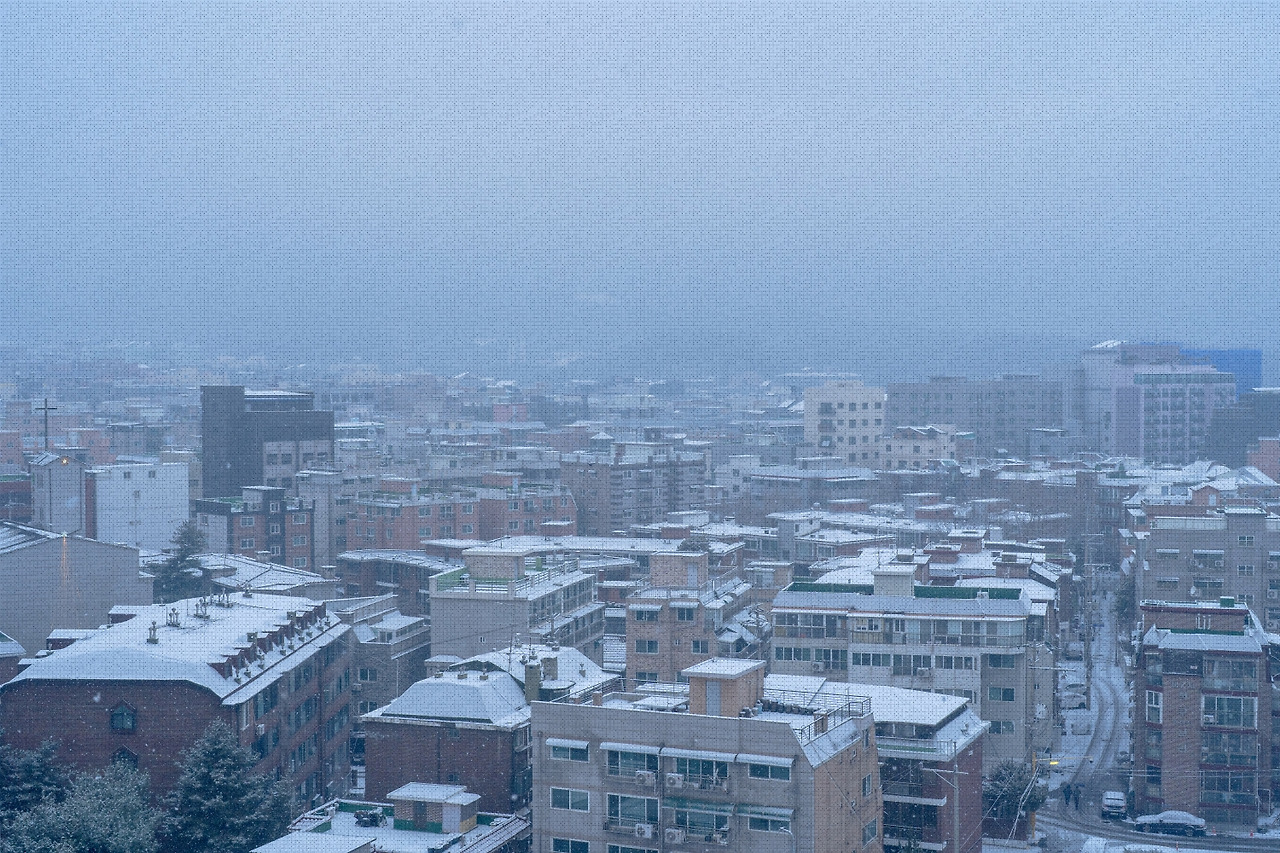 #winter #9 DSC07195.jpg