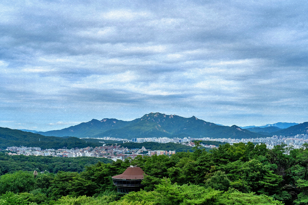 #spring #8 DSC05317.jpg