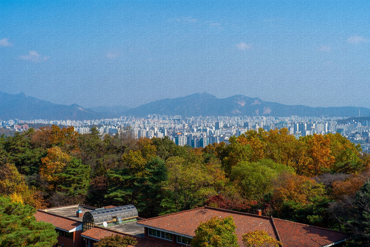 #autumn #12 DSC06517.jpg