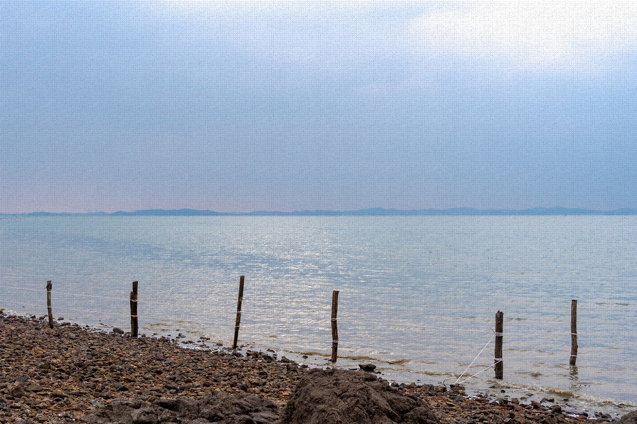 #winter #12 A7C01449.jpg