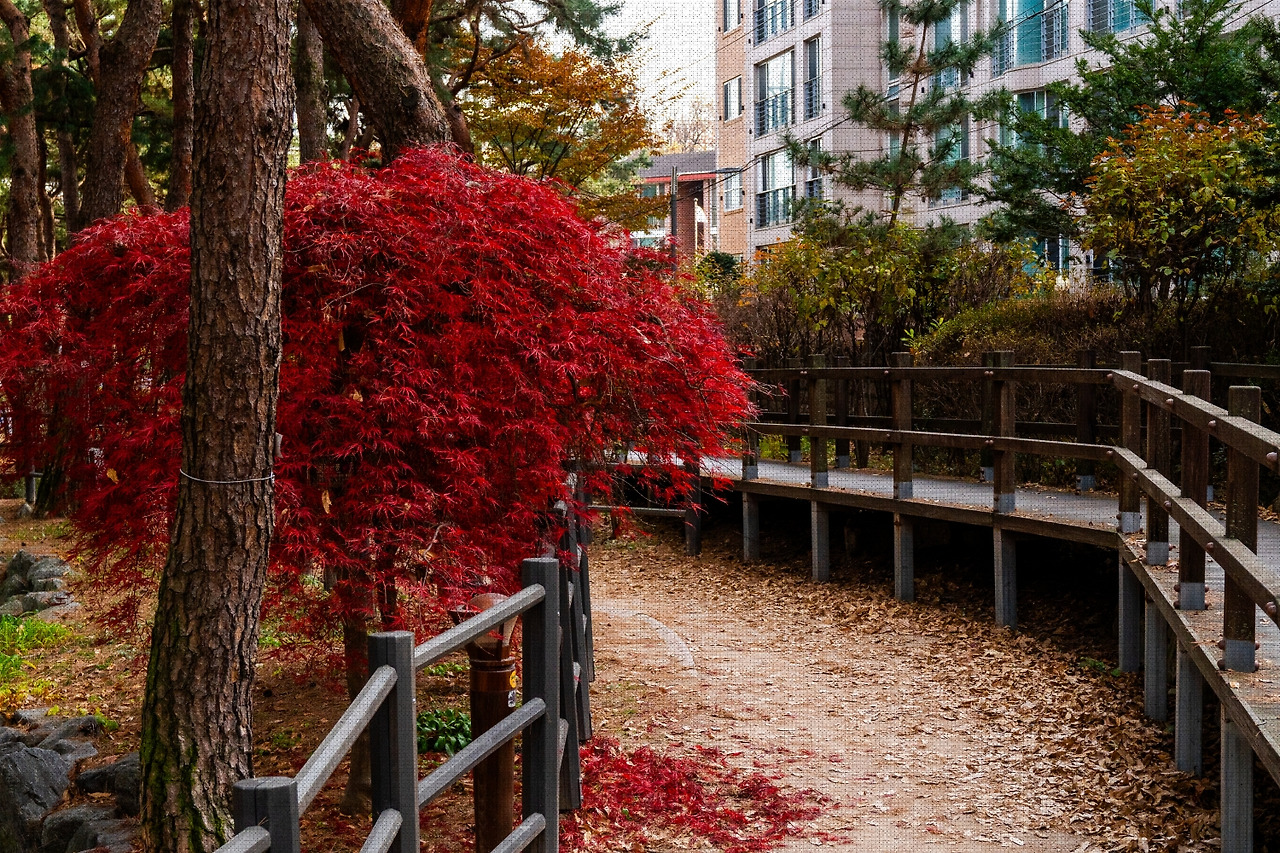 #autumn #10 A7C01667.jpg