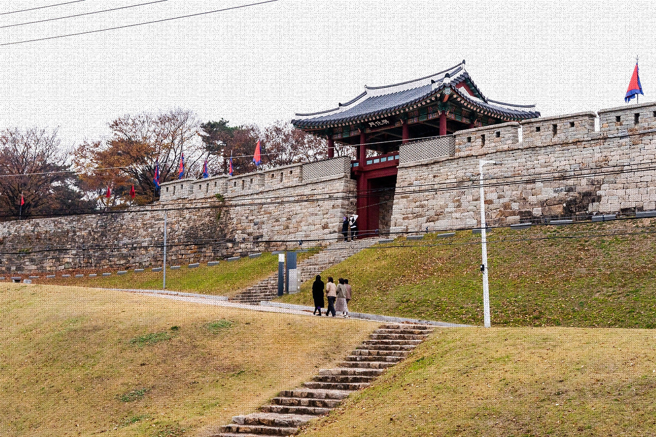 #autumn #8 A7C01576.jpg