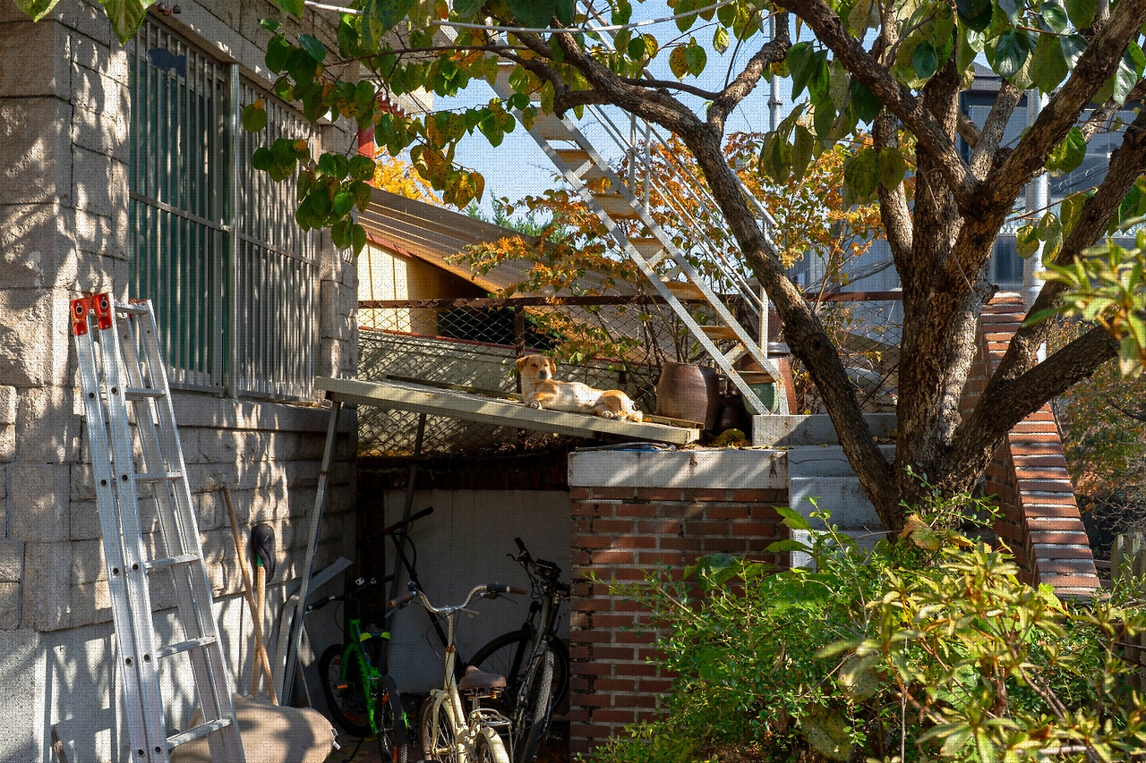 #autumn #18 DSC06561.jpg