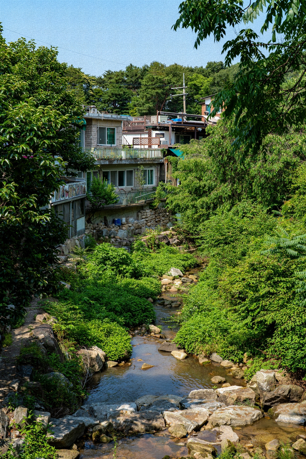 #summer #14 A7C03547.jpg