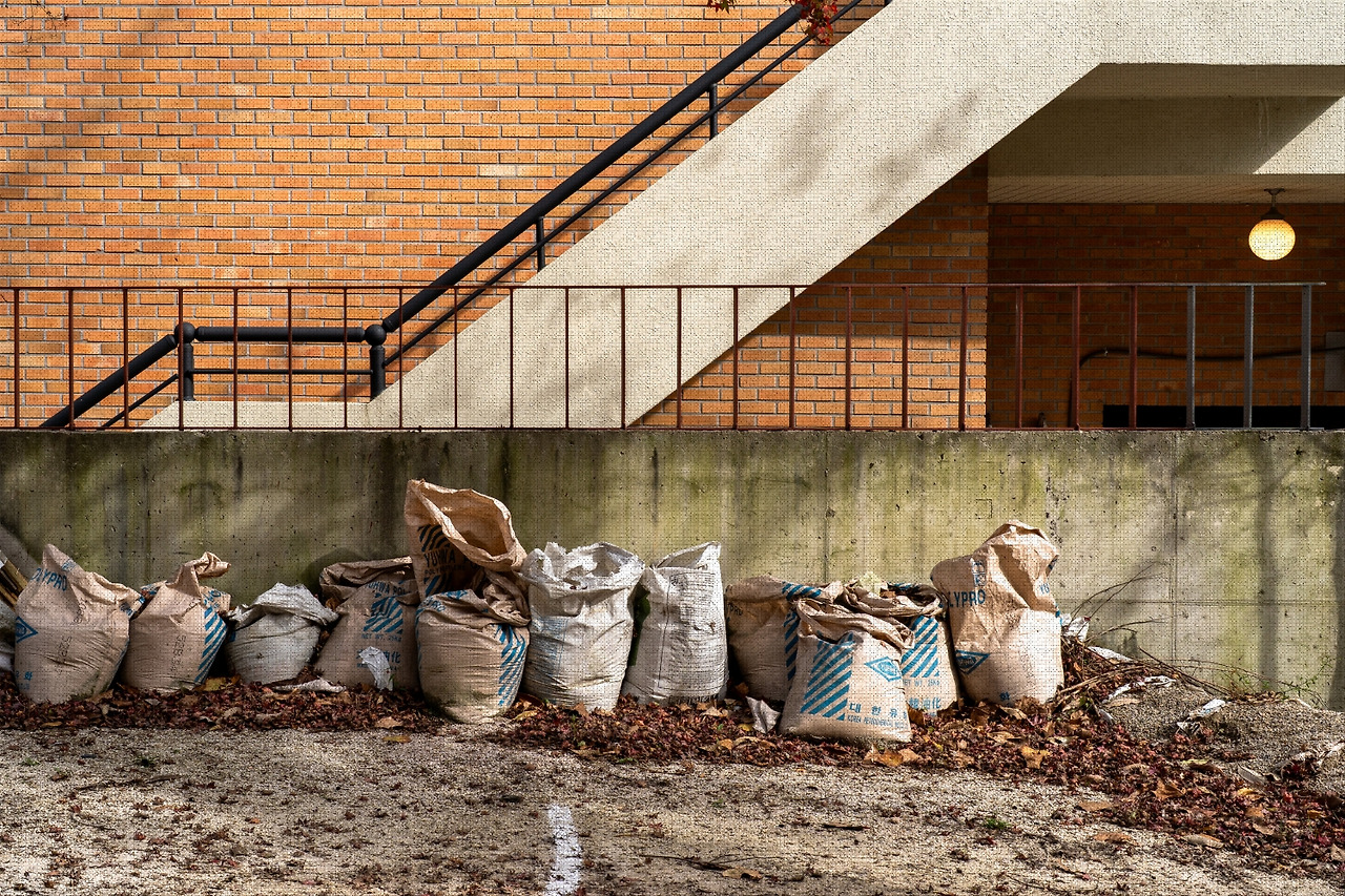 #autumn #6 DSC06605.jpg