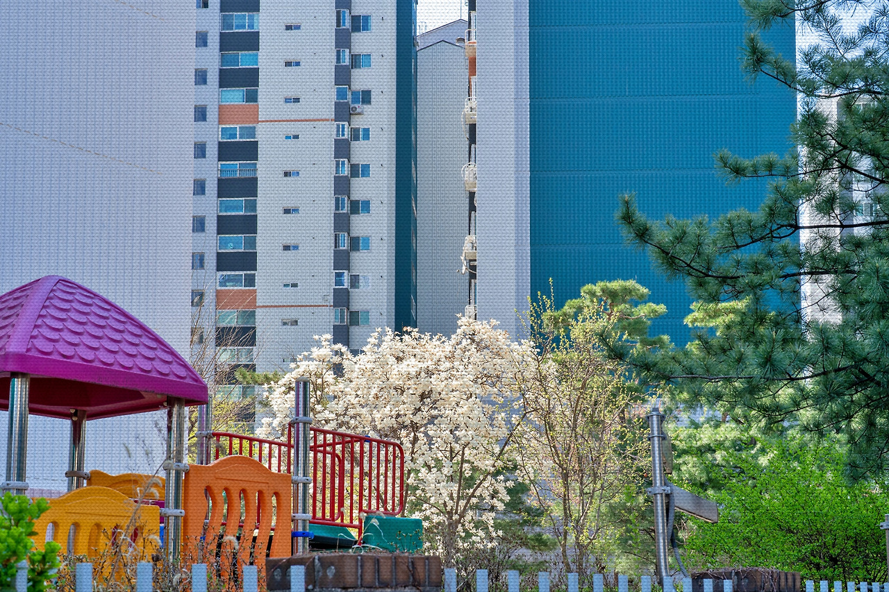 #spring #6 DSC03546.jpg