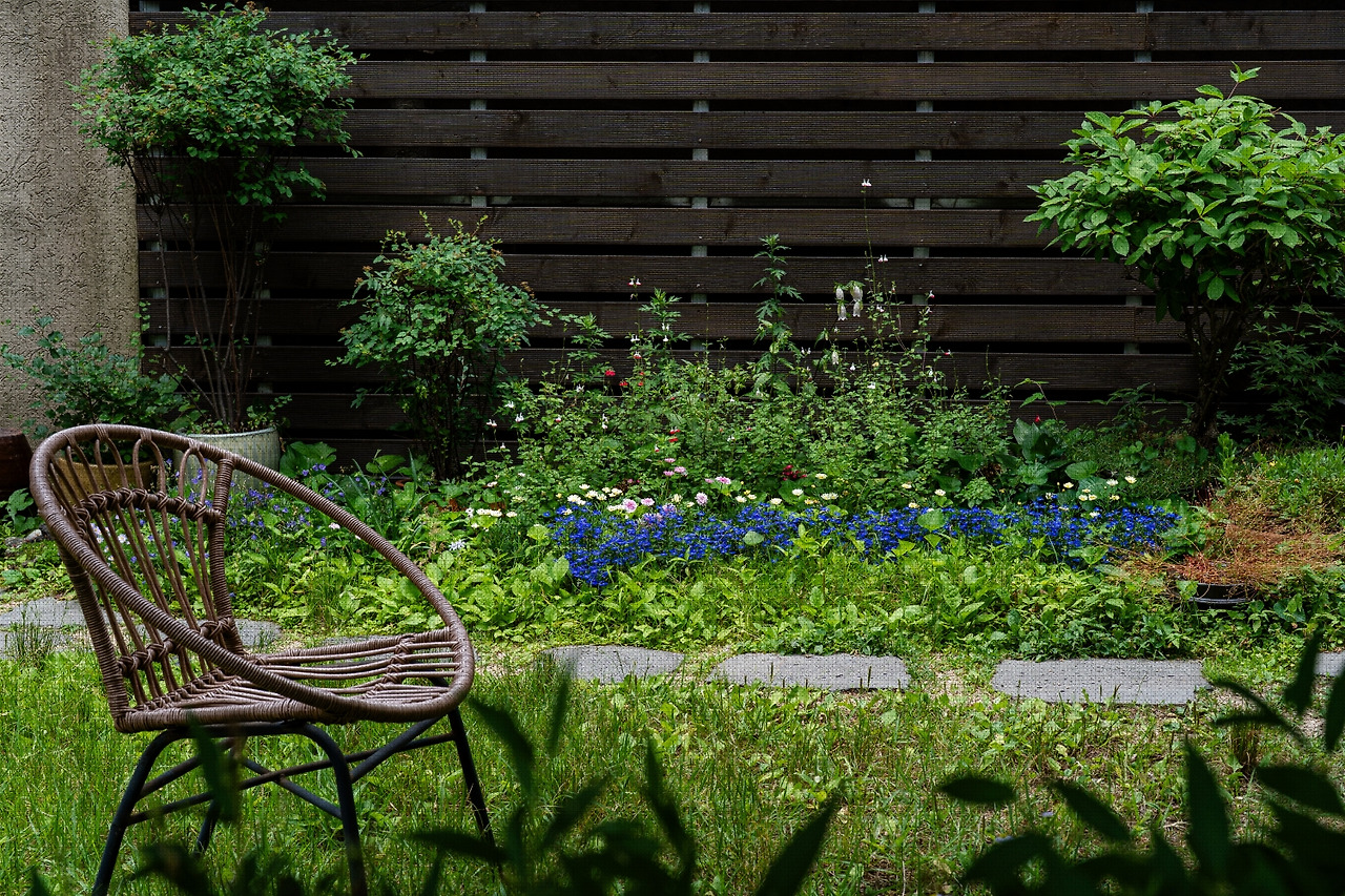 #summer #18 A7C03453.jpg