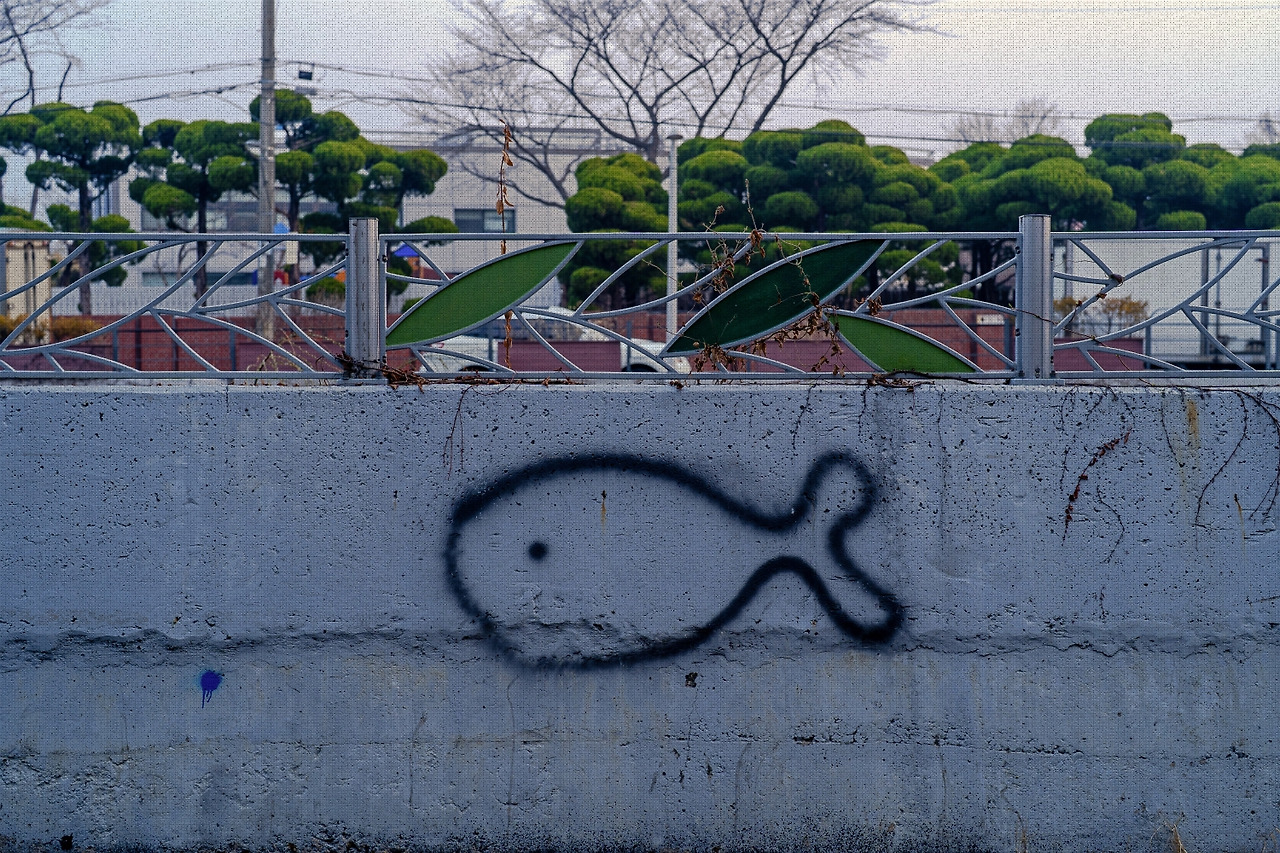 #spring #15 DSC02746.jpg