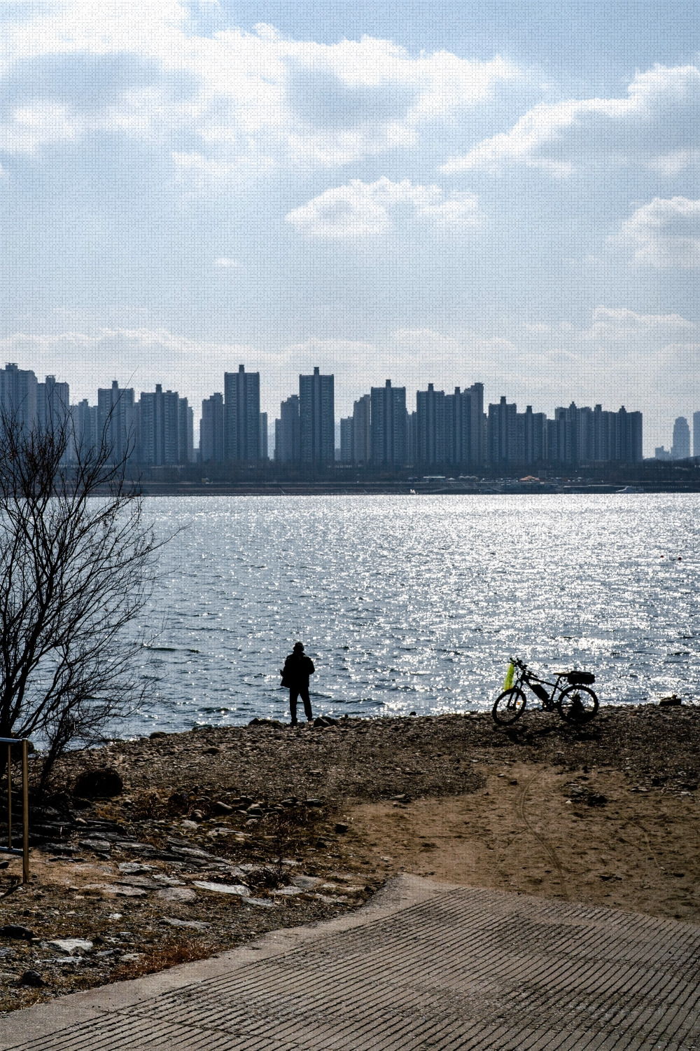 #winter #16 DSC07570.jpg