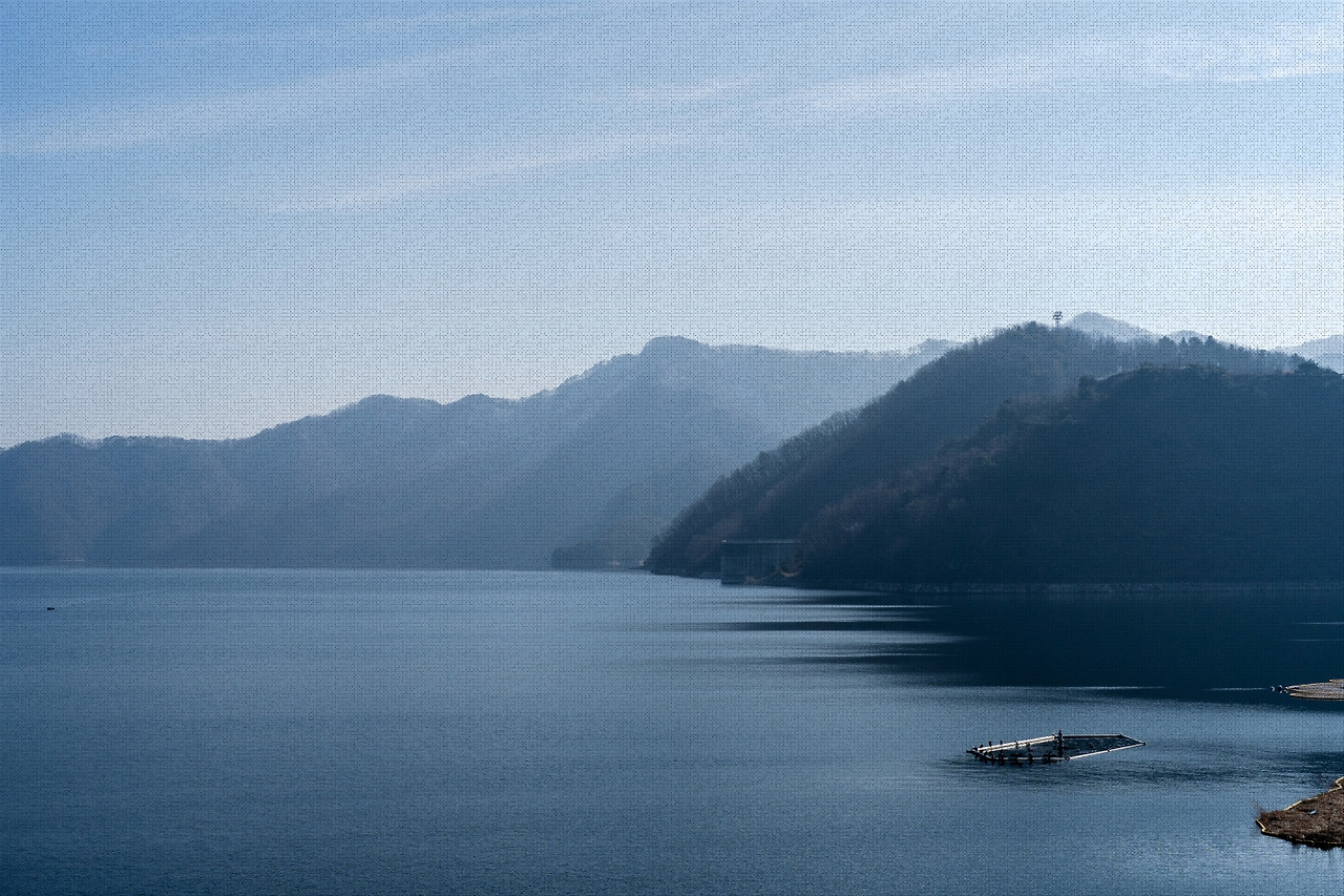 #winter #8 DSC07421.jpg