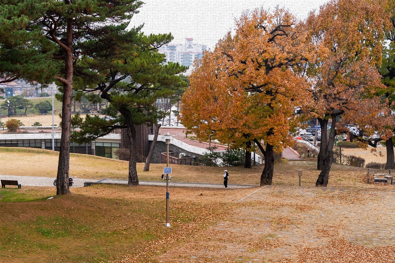 #autumn #8 A7C01570.jpg