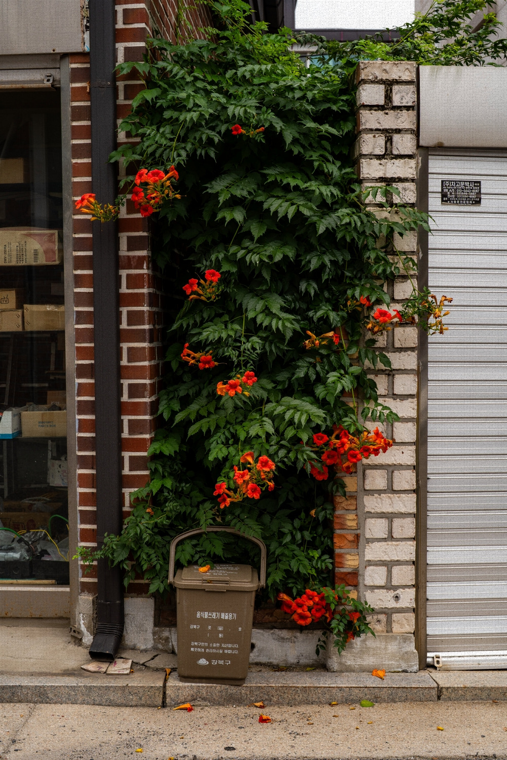 #summer #10 A7C03688.jpg