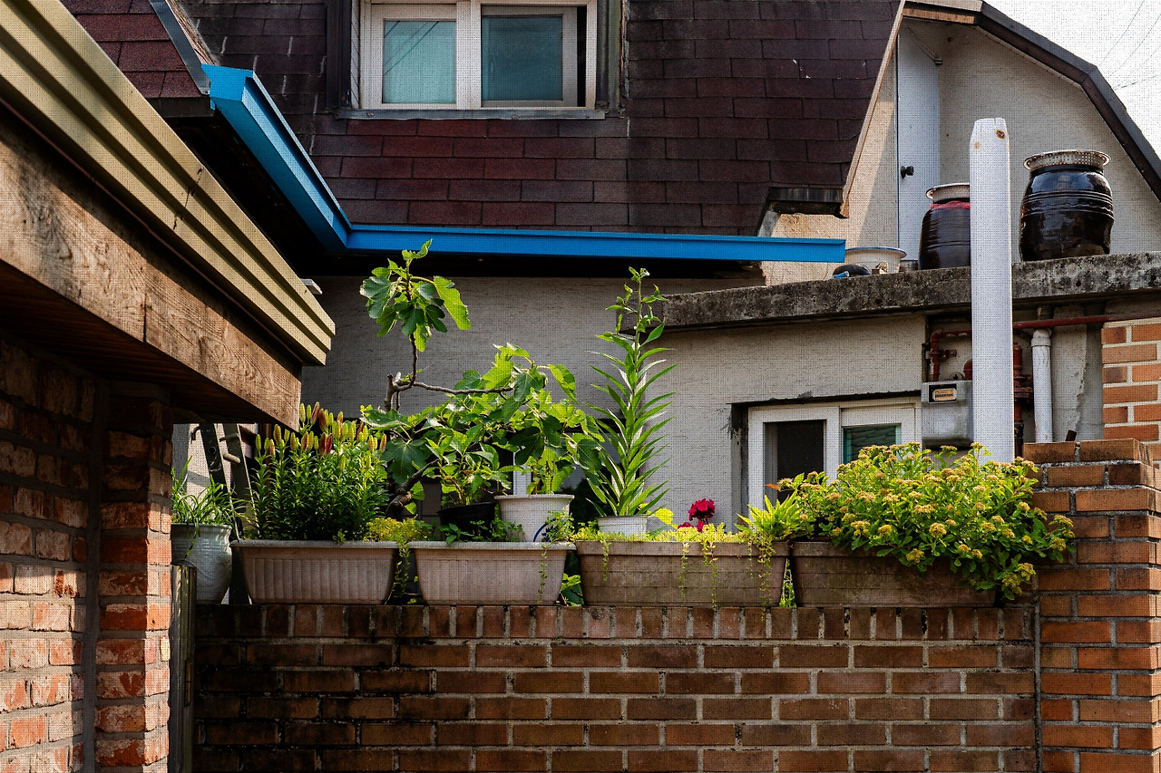 #summer #10 A7C03406-1.jpg