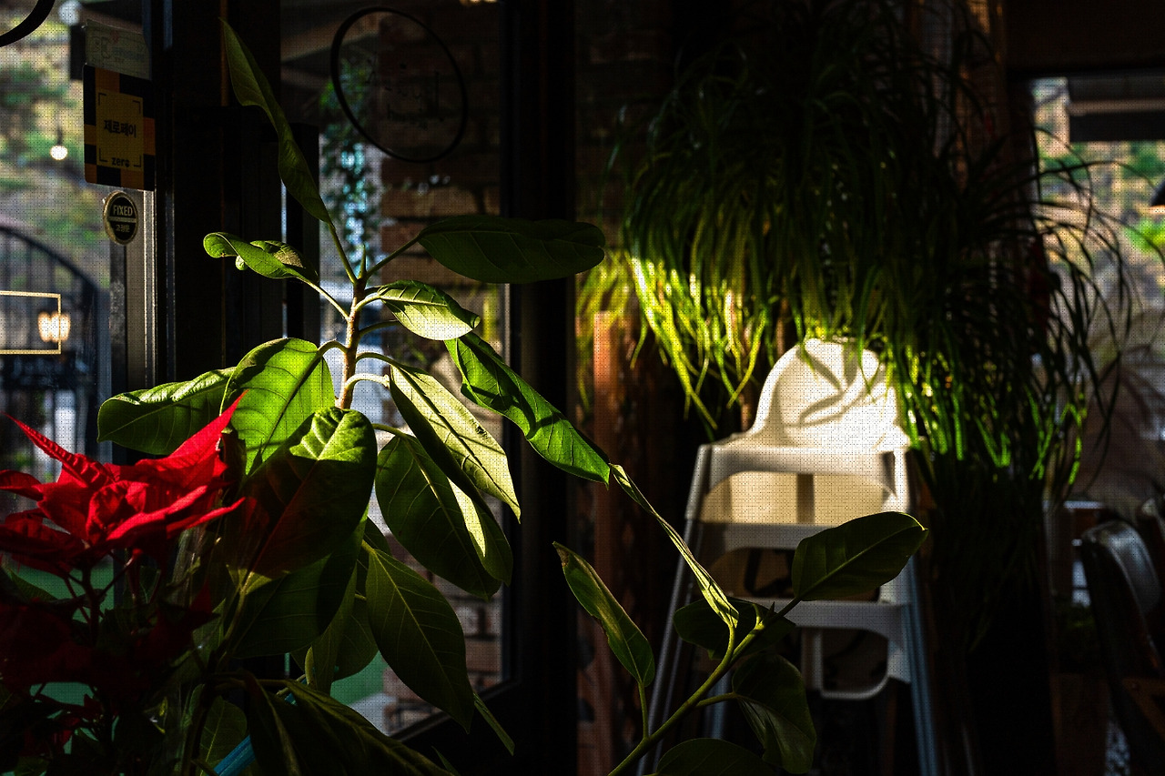 #autumn #5 DSC06676.jpg