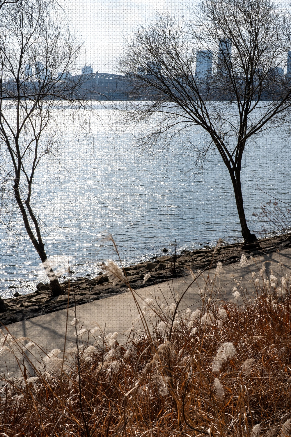 #winter #16 DSC07596.jpg