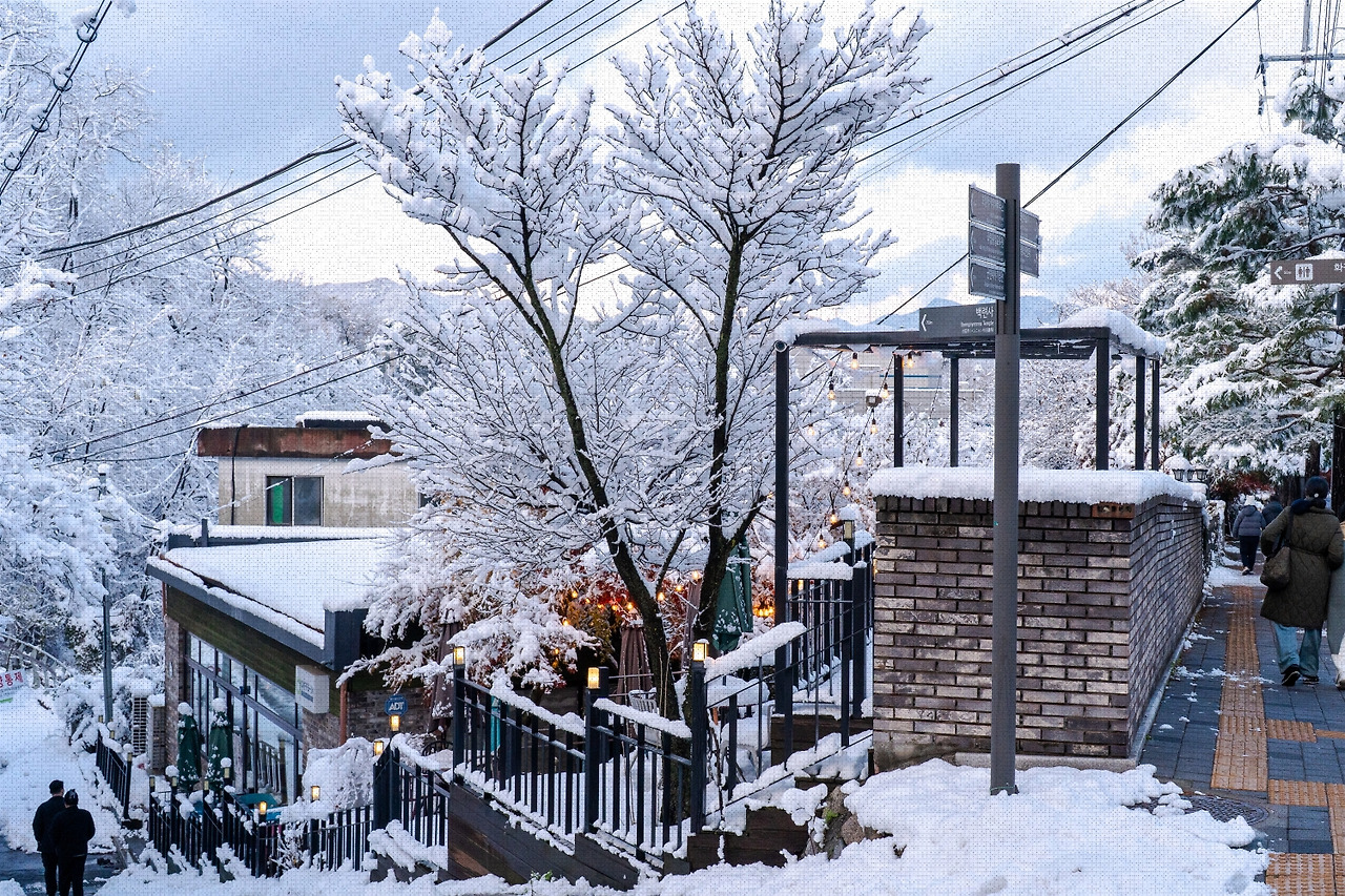 #winter #20 A7C01816.jpg