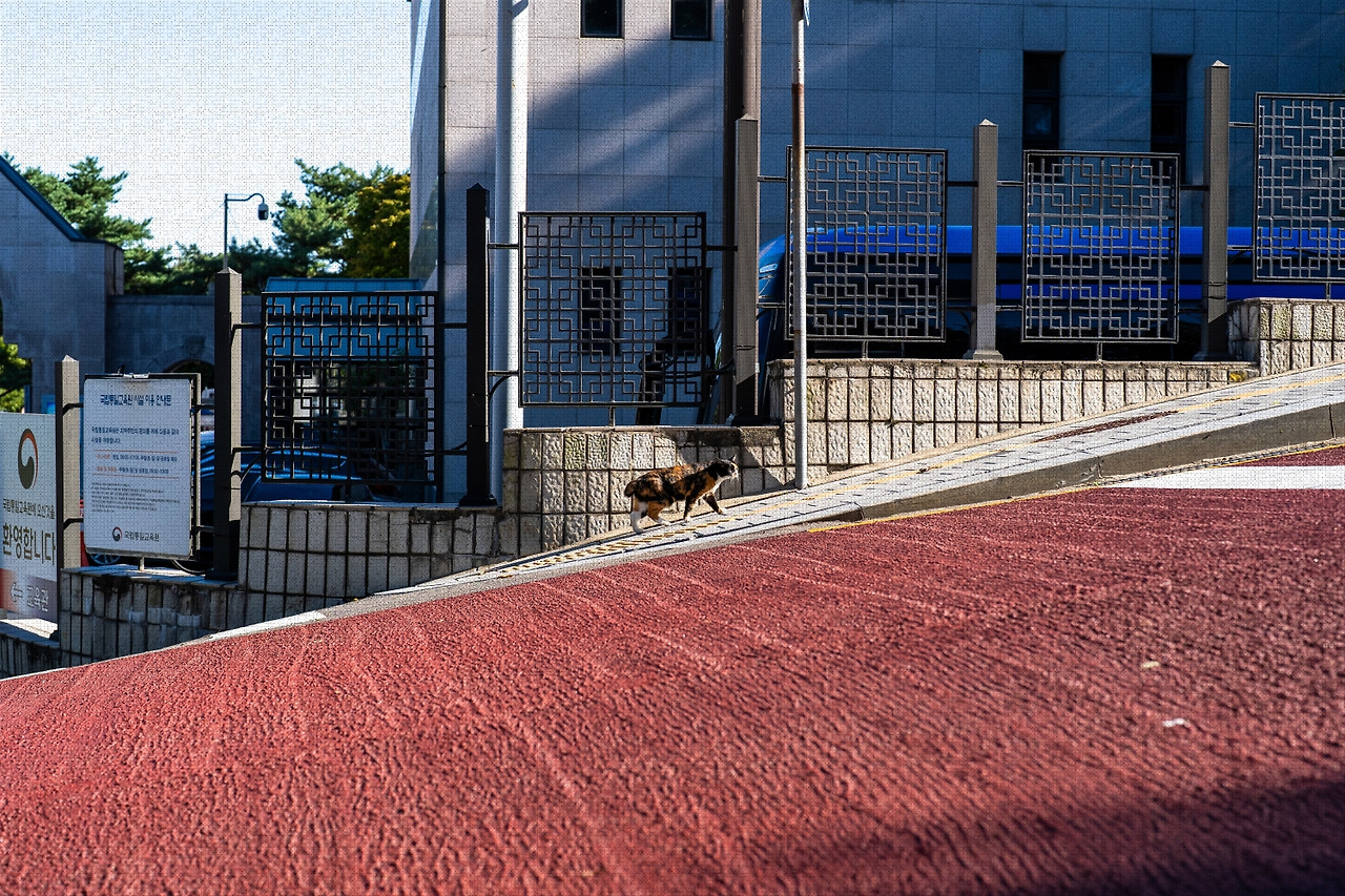 #autumn #20 A7C01190.jpg