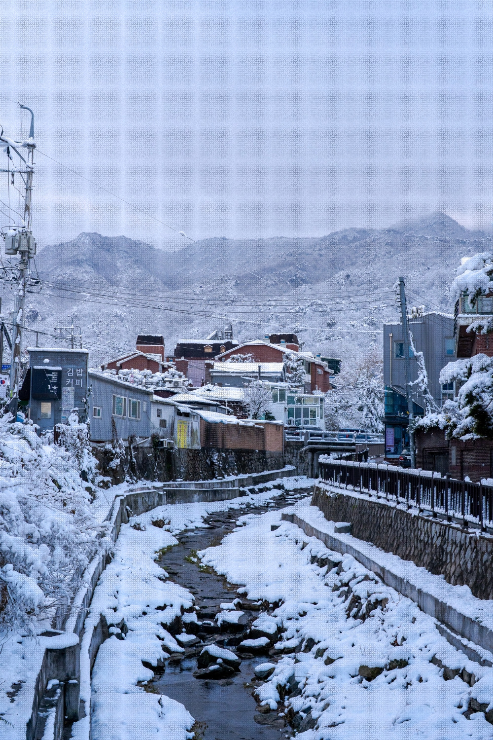 #winter #4 A7C01732.jpg