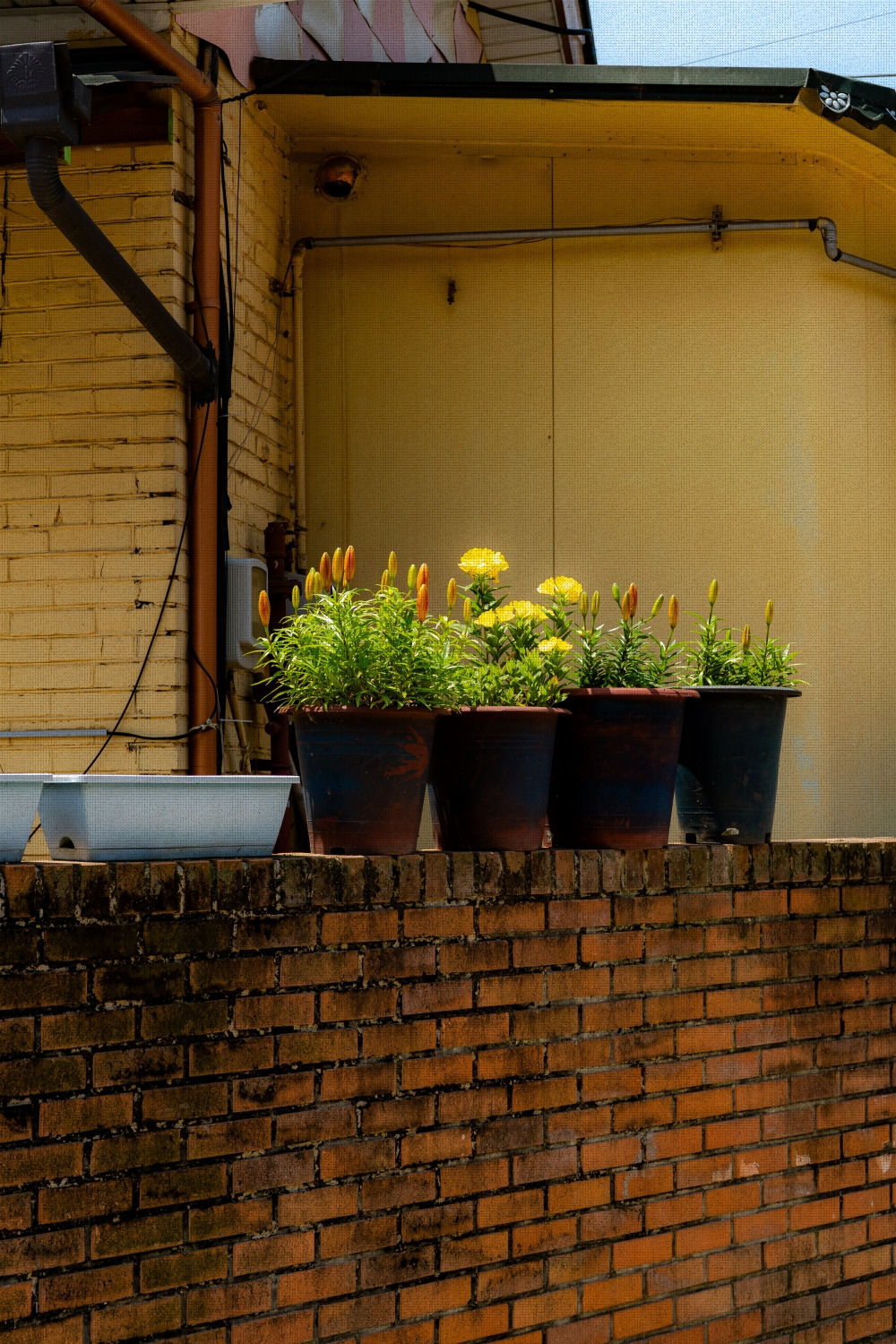 #summer #10 A7C03308.jpg