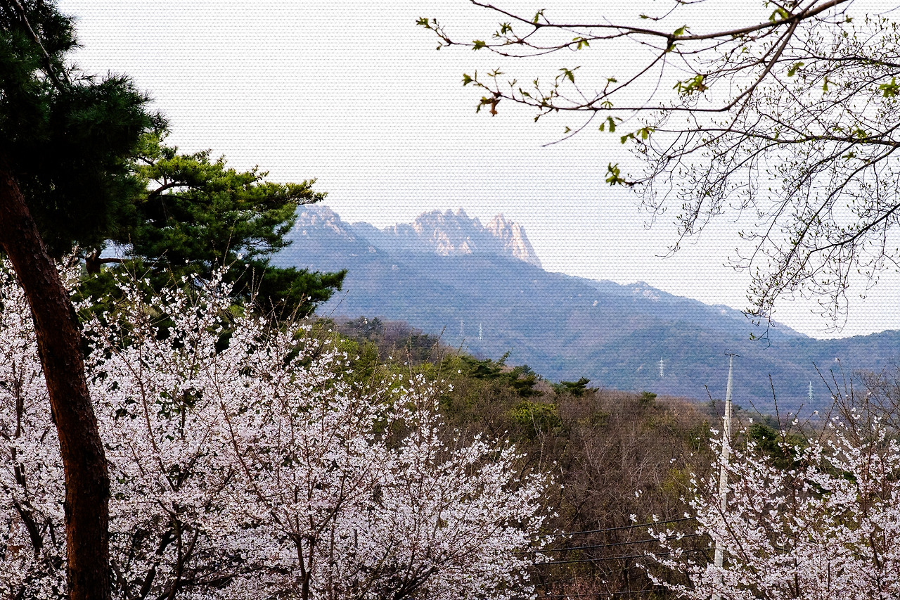 #spring #6 A7C00032.jpg