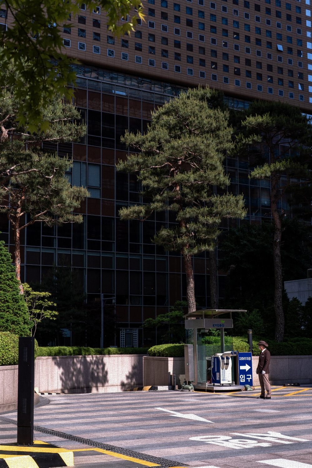 #spring #18 A7C00513.jpg