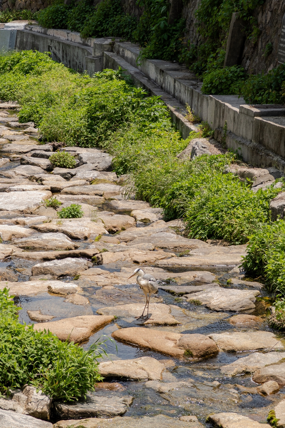 #spring #24 A7C03304.jpg